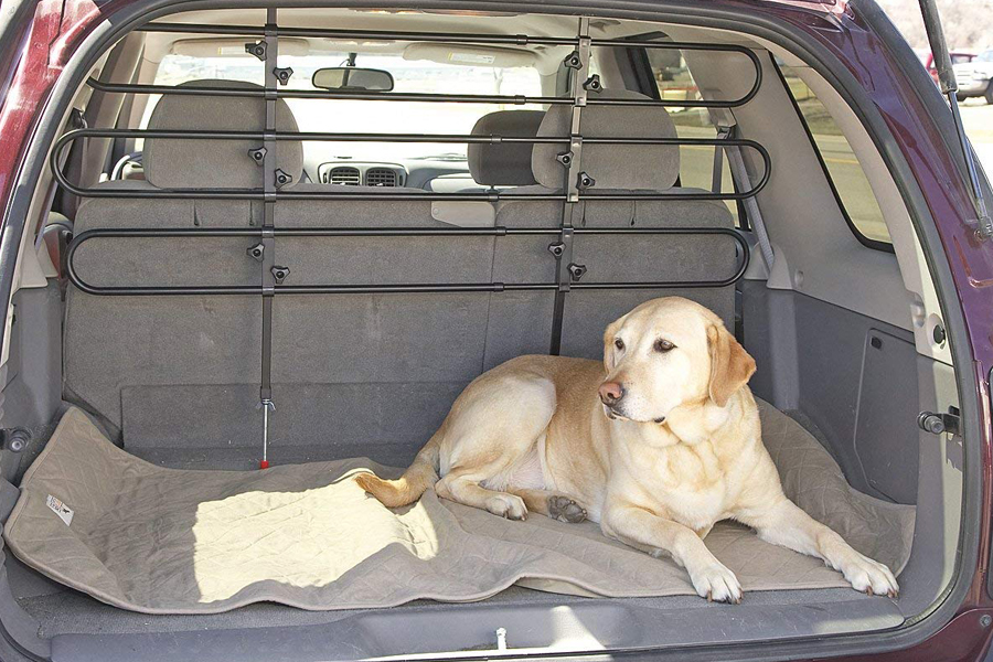 dog barriers for the car